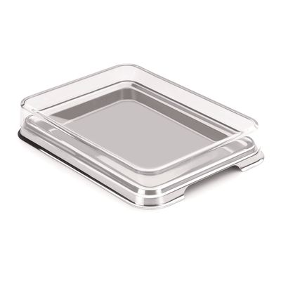 Porta Frios Retangular 21,6X16,0X4,2 cm Forma