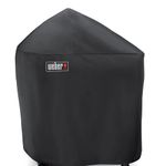 capa-performer-silver-em-vinil-pt-30-4-cm-weber