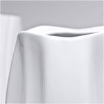 Vaso-Holaria-Ascidia-Branco-2