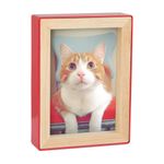 PORTA-RETRATO-FOTOBLOCK-4X6-VERMELHO-UMBRA