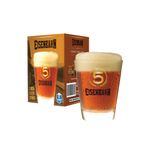 COPO-5-ANOS-EISENBAHN