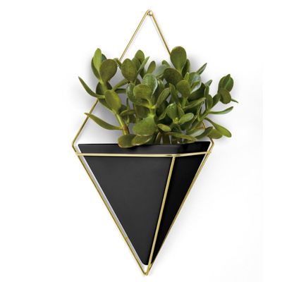 Vaso Trigg de Parede Grande Preto e Dourado Umbra