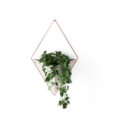 Vaso Parede Trigg  Grande Cobre Umbra